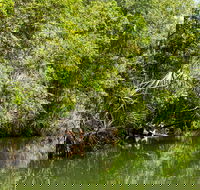 Berry Springs Nature Park - New South Wales Tourism 
