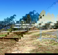 Bindea Walking Track - New South Wales Tourism 