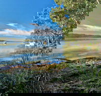 Black Oaks Picnic Area - New South Wales Tourism 