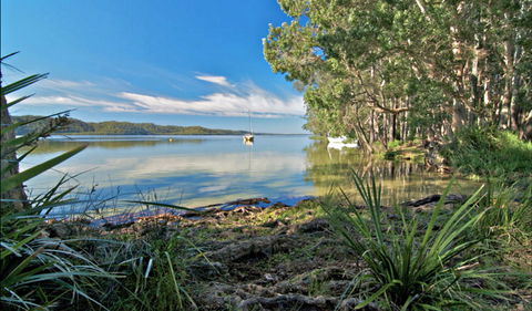 Black Oaks Picnic Area - New South Wales Tourism  0