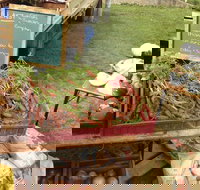 Burnie Farmers Market - New South Wales Tourism 