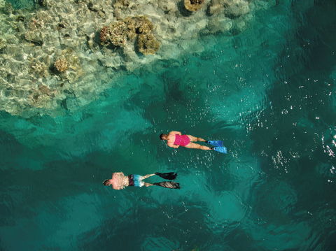 Capricornia Cays National Park - New South Wales Tourism  1