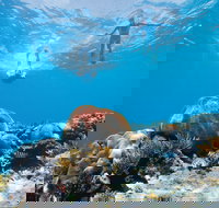 Capricorn Coast and Great Keppel Island Drive Itinerary - New South Wales Tourism 