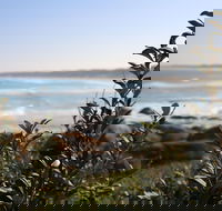 Cape Conran Coastal Park - New South Wales Tourism 