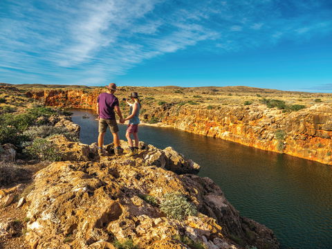 Cape Range Wildflower Trail - New South Wales Tourism  0