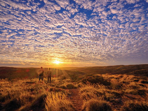 Cape Range Wildflower Trail - New South Wales Tourism  2