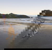 Cape Hillsborough National Park - New South Wales Tourism 