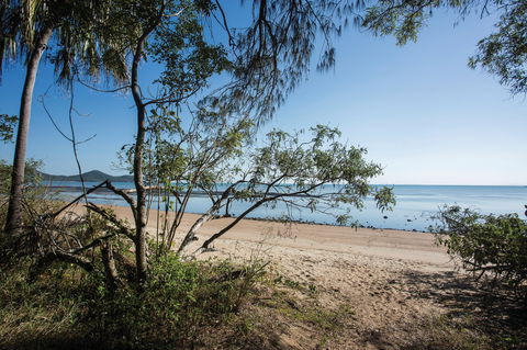 Cape Hillsborough National Park - New South Wales Tourism  1