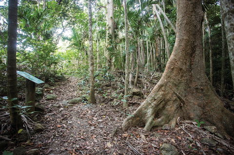 Cape Hillsborough National Park - New South Wales Tourism  2