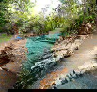 Cardwell Spa Pool - New South Wales Tourism 