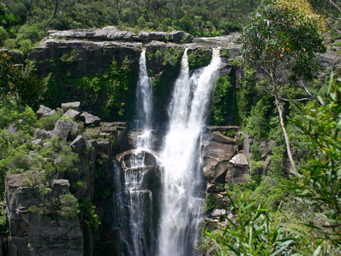 Carrington Falls - New South Wales Tourism  0