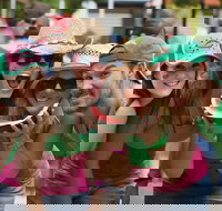 Chinchilla - New South Wales Tourism 