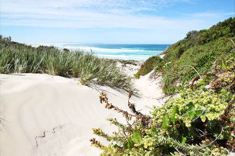 Coffin Bay National Park - New South Wales Tourism  1