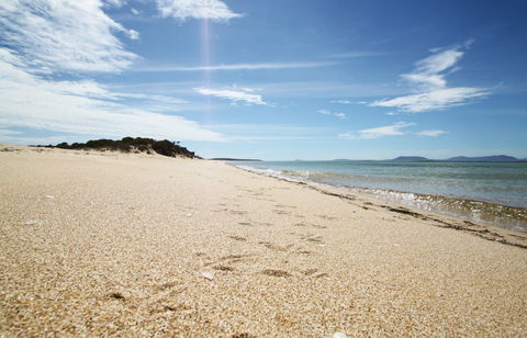 Coffin Bay National Park - New South Wales Tourism  2