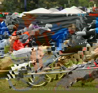 Comboyne - New South Wales Tourism 