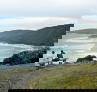 Connors Walking Track - New South Wales Tourism 