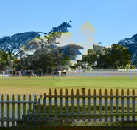 Cootamundra Cricketing Exploration - New South Wales Tourism 