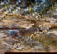 Cycle Mogo State Forest - New South Wales Tourism 