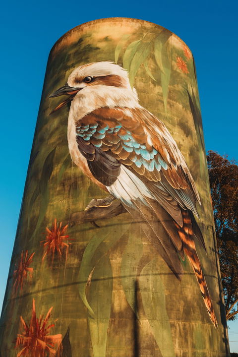 Deniliquin Water Tower Mural - New South Wales Tourism  0