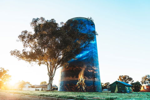 Deniliquin Water Tower Mural - New South Wales Tourism  1