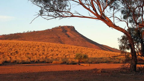 Dutchman Stern Conservation Park Trail - New South Wales Tourism  0