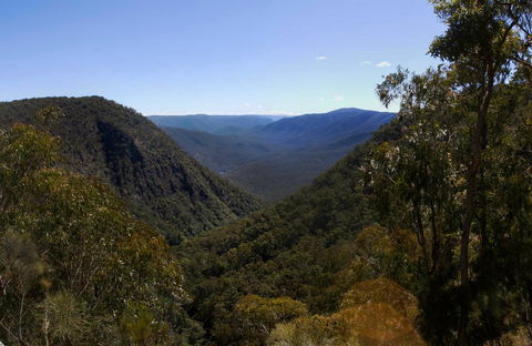 Escarpment Walk - New South Wales Tourism  0