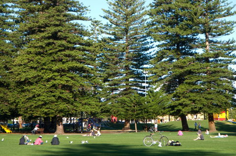 Esplanade Reserve - New South Wales Tourism  0