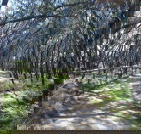 Federation Walk - New South Wales Tourism 