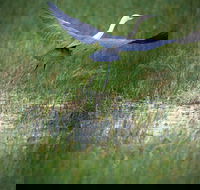 Germein Reserve - New South Wales Tourism 