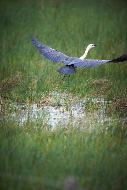 Germein Reserve - New South Wales Tourism  0