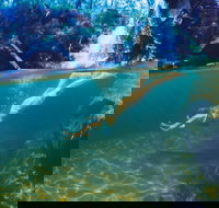 Glenreagh - New South Wales Tourism 