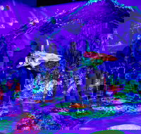 Glowing Rooms 3D Mini Golf - New South Wales Tourism 