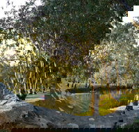 Goomburra - New South Wales Tourism 