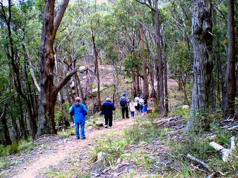 Greater Blue Mountains Heritage Trail - New South Wales Tourism  2