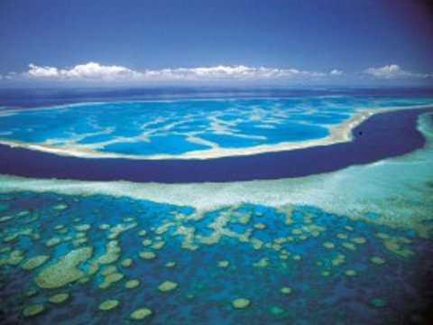 Hardy Reef - New South Wales Tourism  0