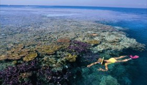 Hardy Reef - New South Wales Tourism  1
