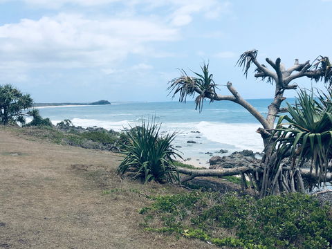 Hastings Point Beach - New South Wales Tourism  1