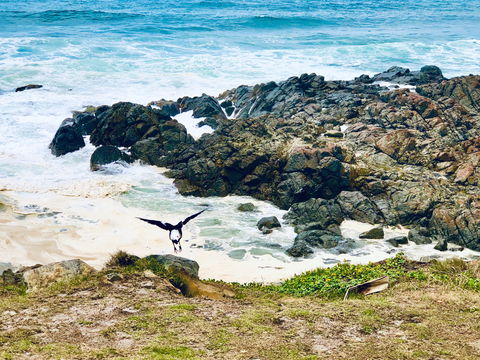 Hastings Point Beach - New South Wales Tourism  2