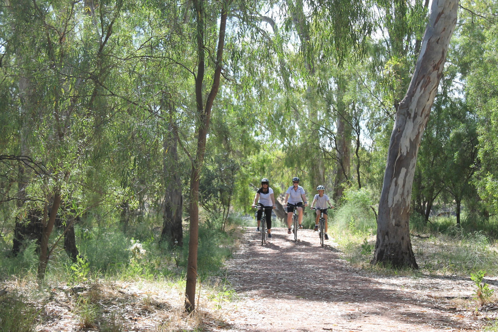 Oxley NSW New South Wales Tourism 