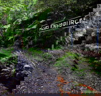 Helensburgh - New South Wales Tourism 