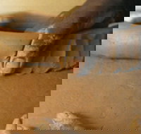 Hermannsburg Potters - New South Wales Tourism 