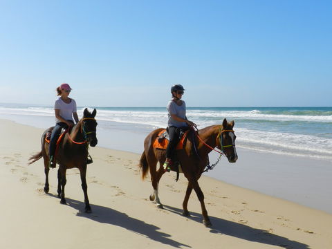 Inskip Peninsula Recreation Area - New South Wales Tourism  2