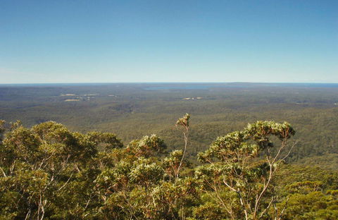 Jerrawangala Lookout - New South Wales Tourism  0