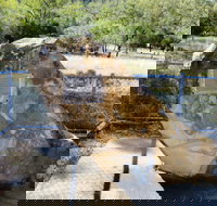 John Oxley Monument - New South Wales Tourism 