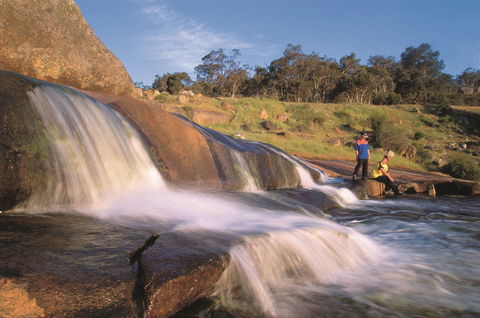 John Forrest National Park - New South Wales Tourism  0