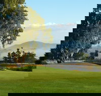 Kangaroo Tours at Gisborne Golf Club Inc - New South Wales Tourism 