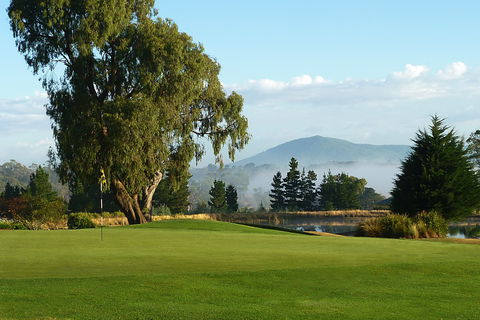 Kangaroo Tours At Gisborne Golf Club Inc - New South Wales Tourism  0