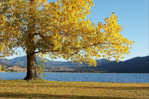 Khancoban - New South Wales Tourism  0