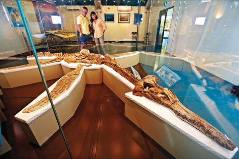 Kronosaurus Korner - New South Wales Tourism  1