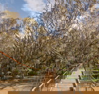 Lachlan River Swing Bridge - New South Wales Tourism 